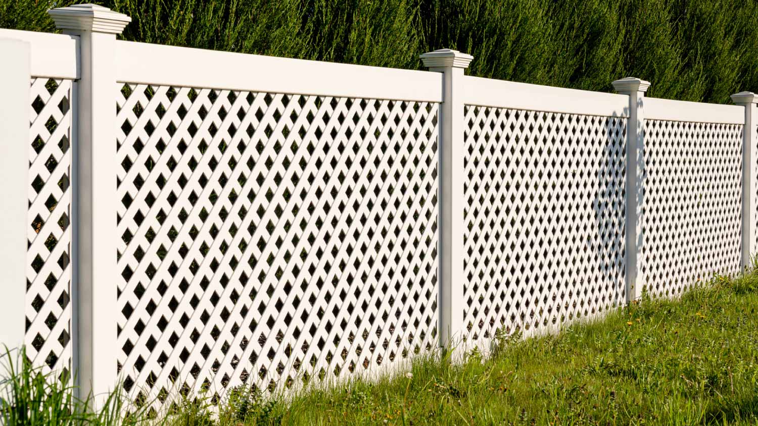 White vinyl fence
