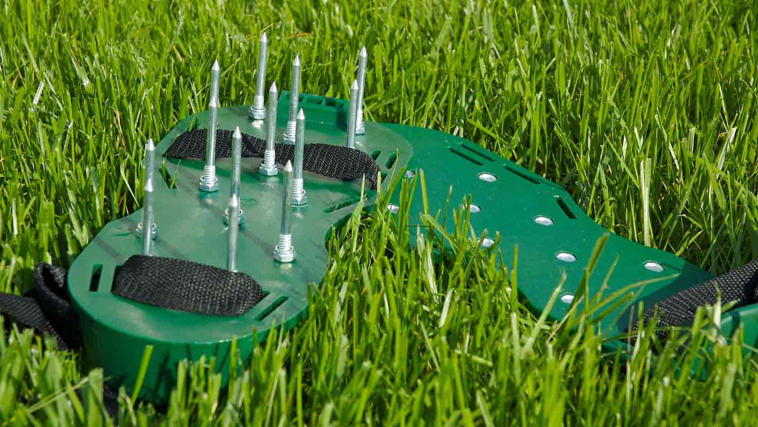 pair of aerator shoes on lawn