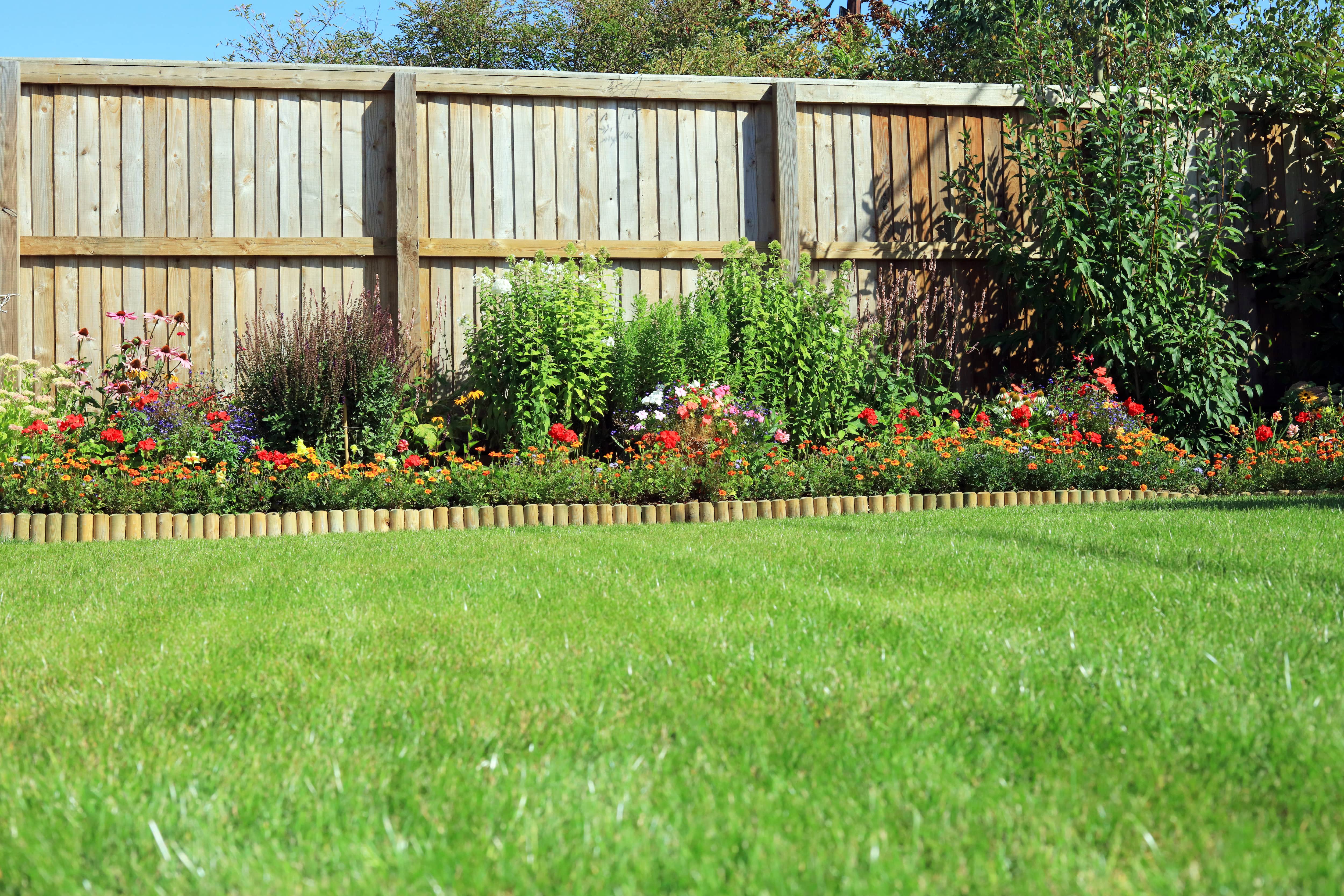 Flower garden with a vertical wooden fence behind it