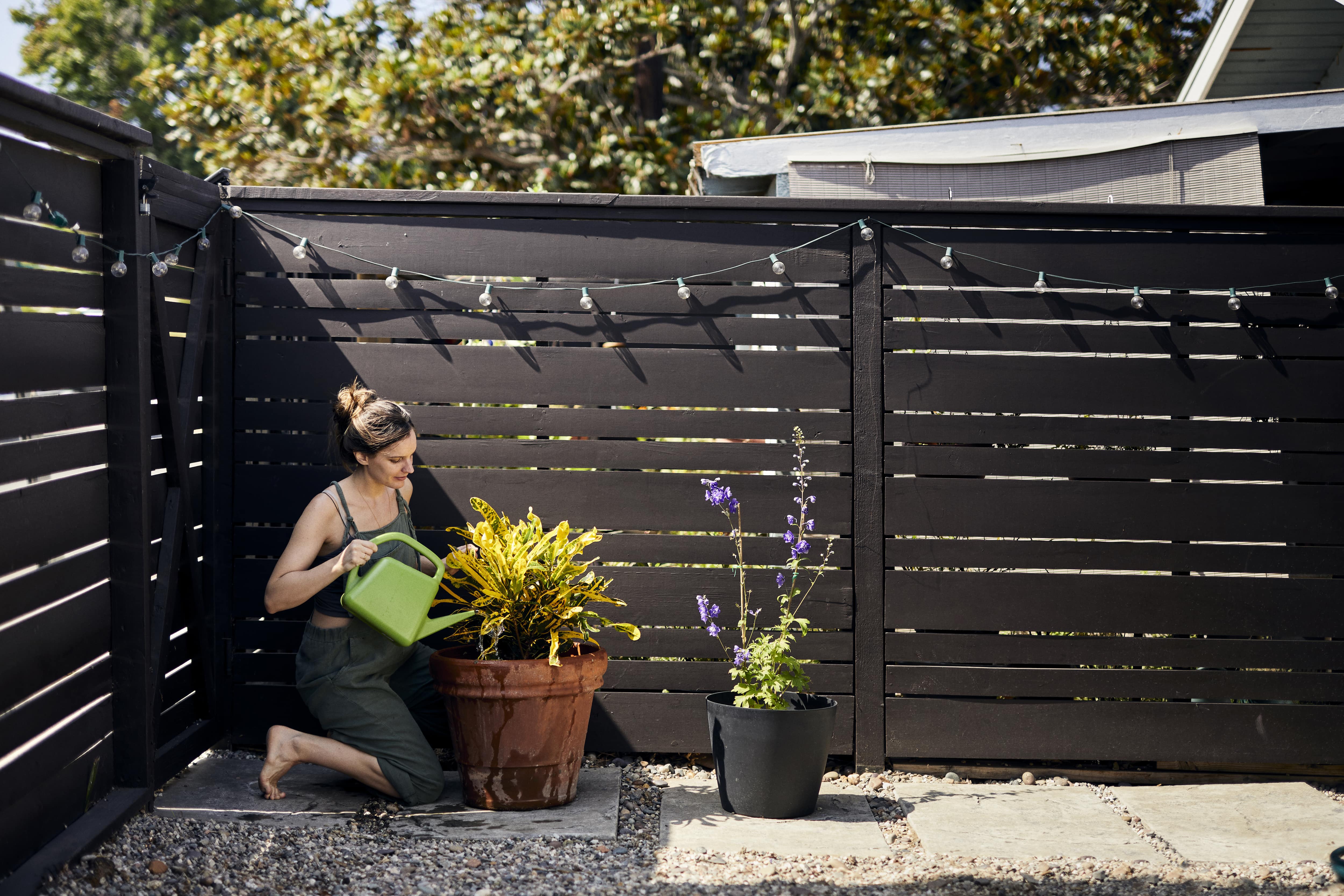 Woman watering her flower garden against black slatted fence
