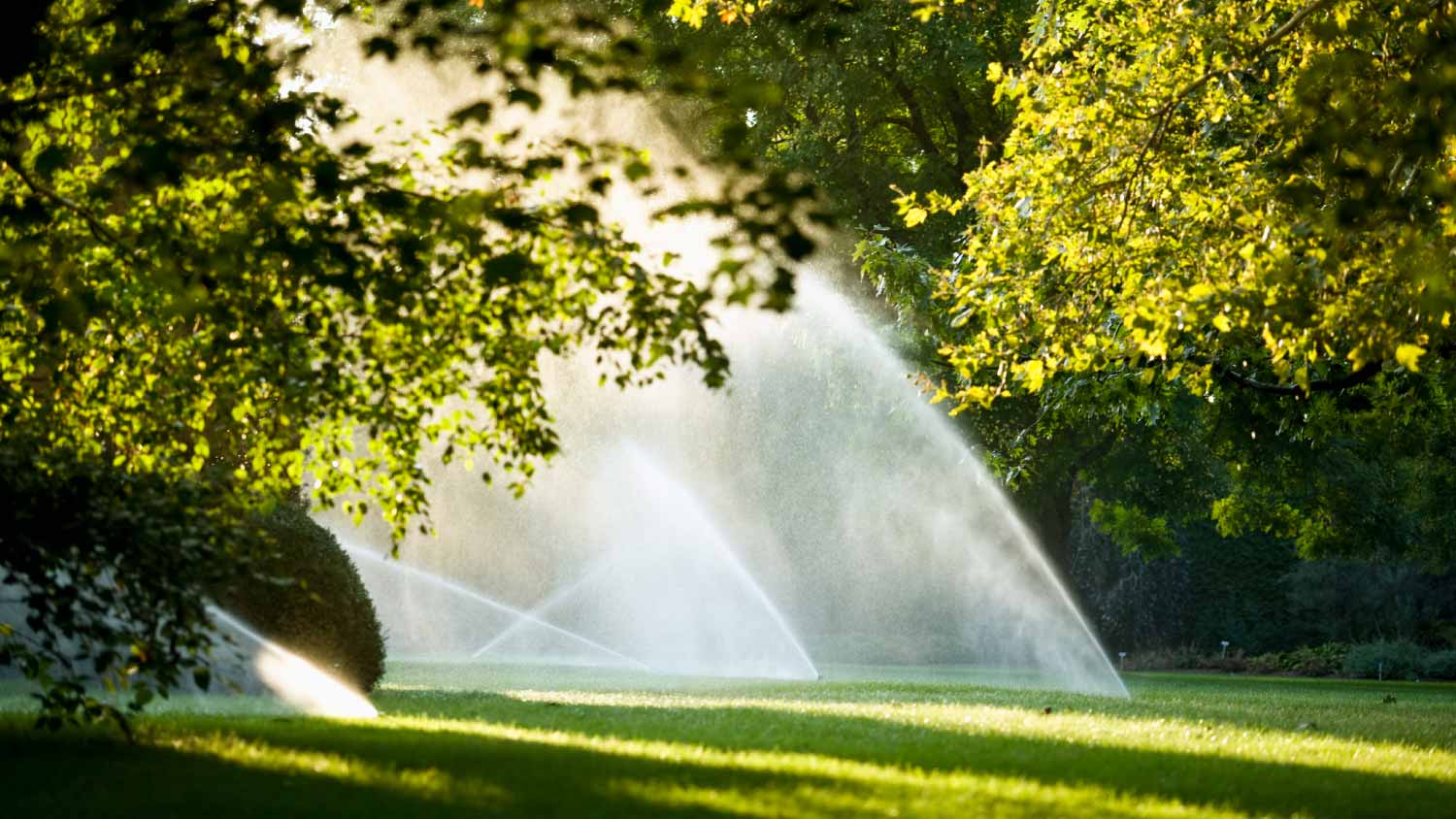 Lawn watering spray