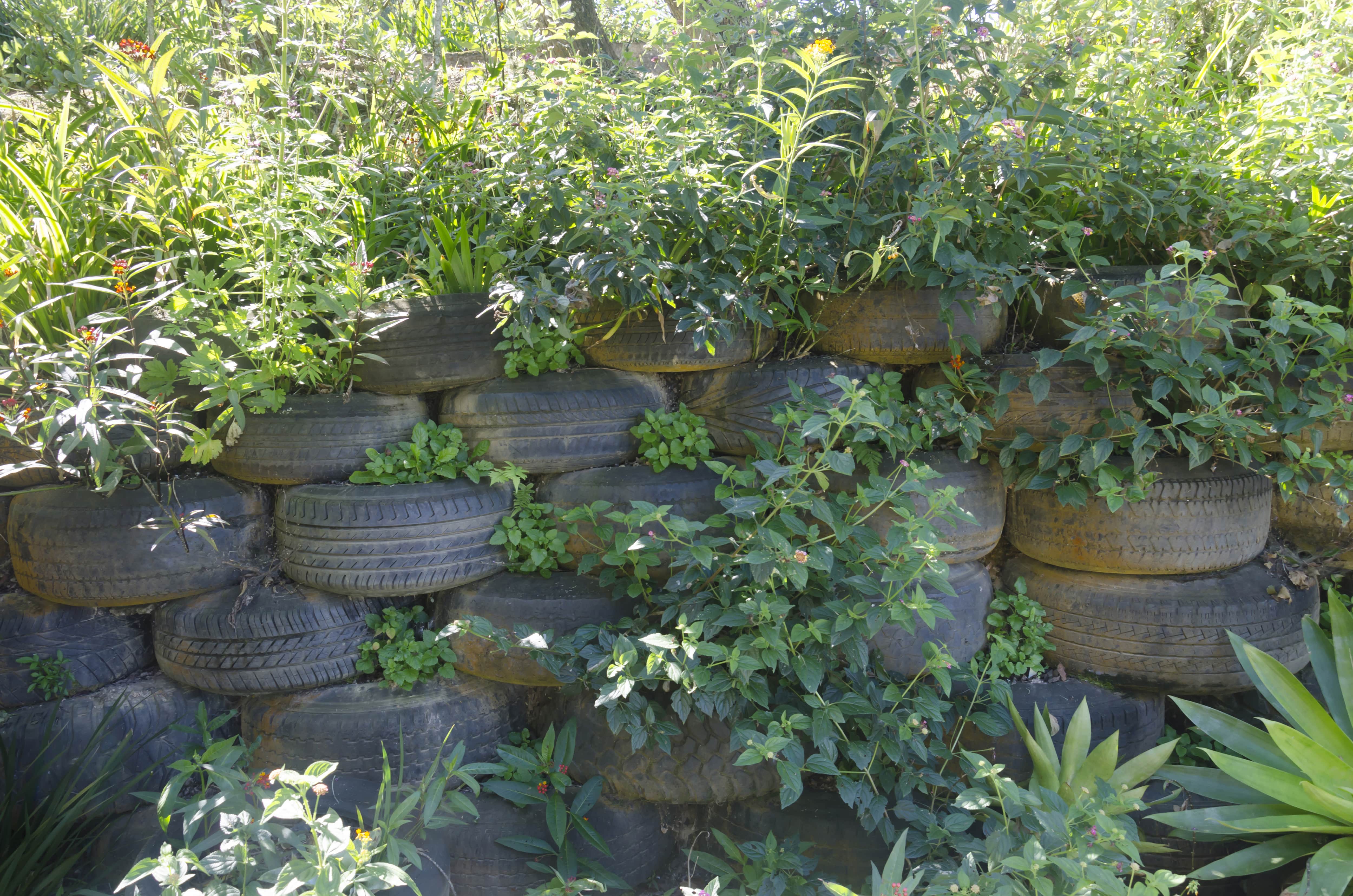 Recycled tire fence with foliage growing on it