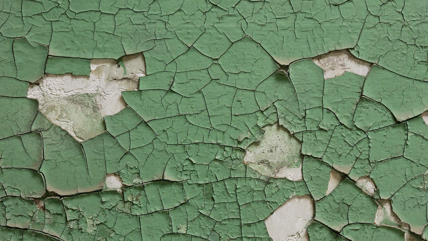 Green paint peeling off the wall