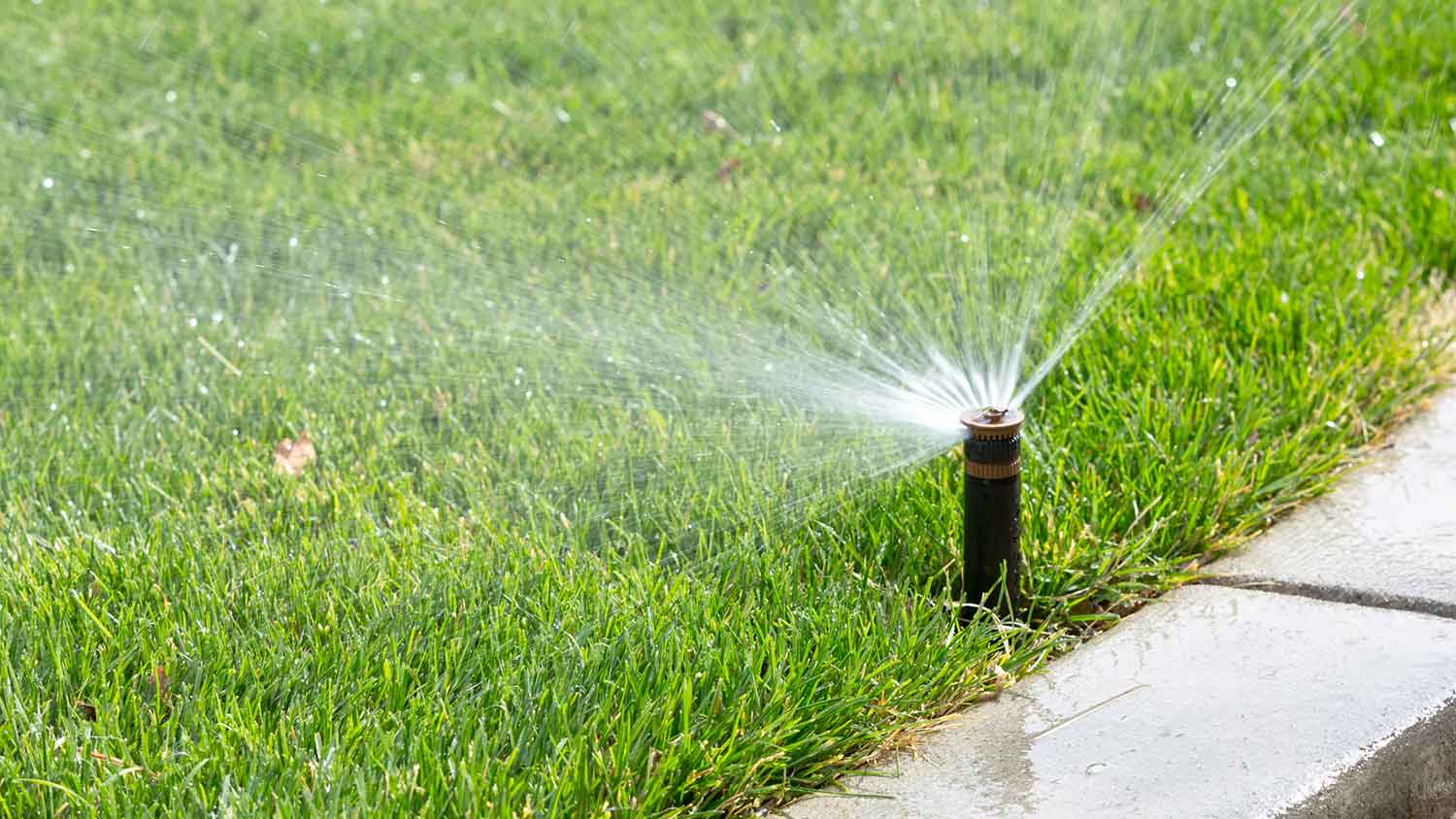 Automatic sprinkler with adjustable head