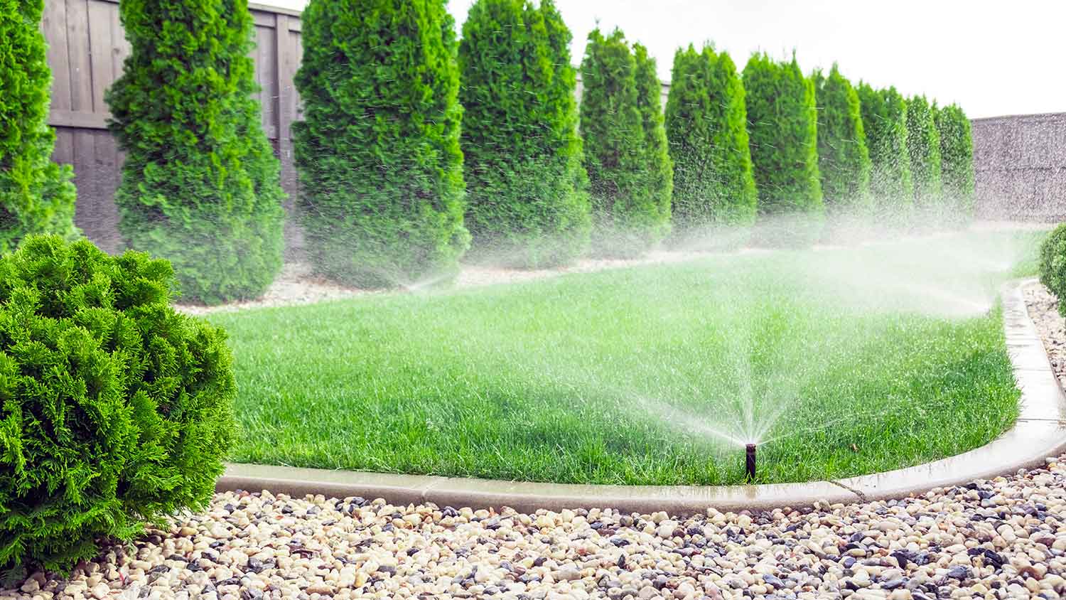 Automatic sprinkler heads installed in the yard
