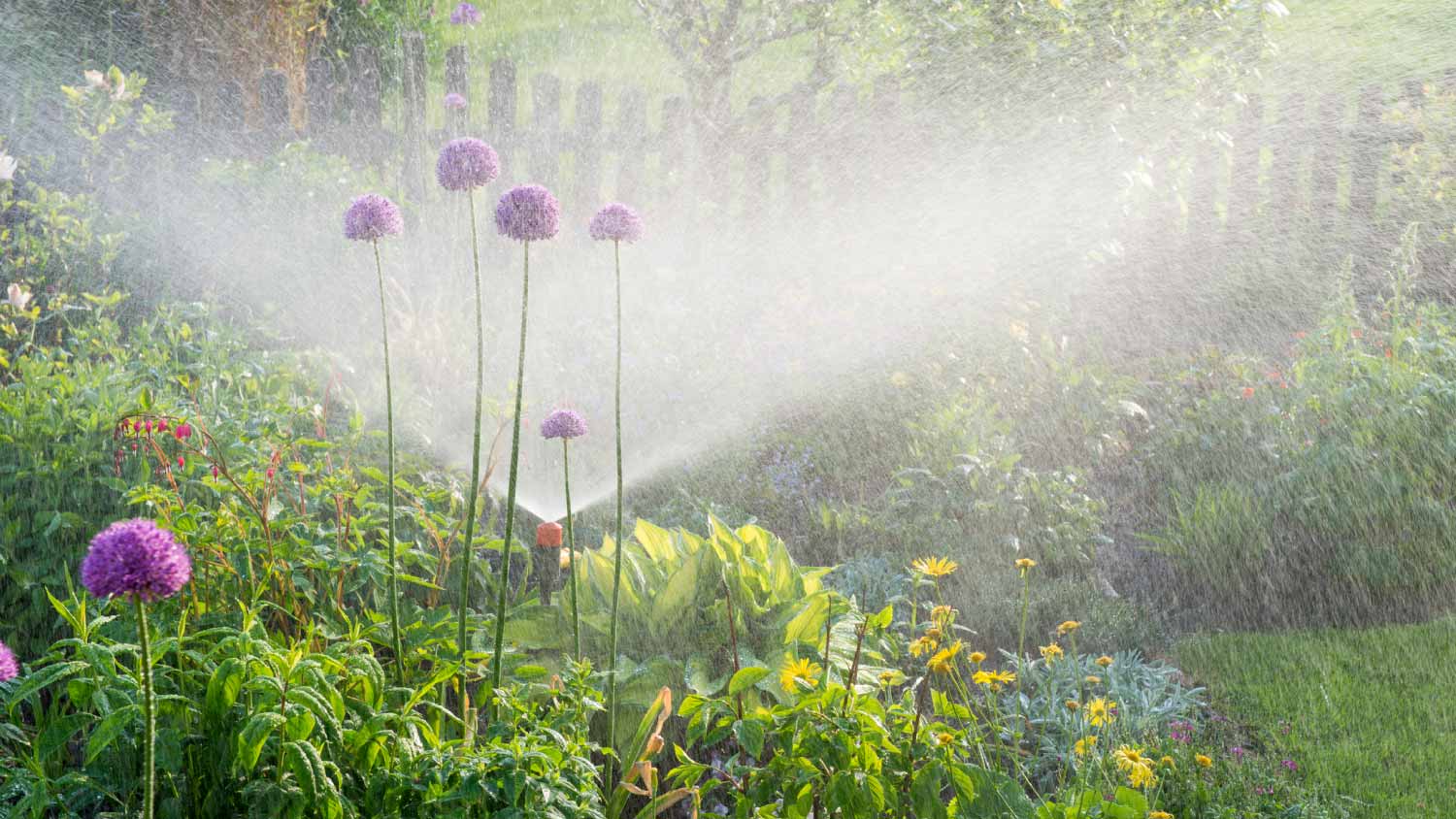 Watering system in flower garden