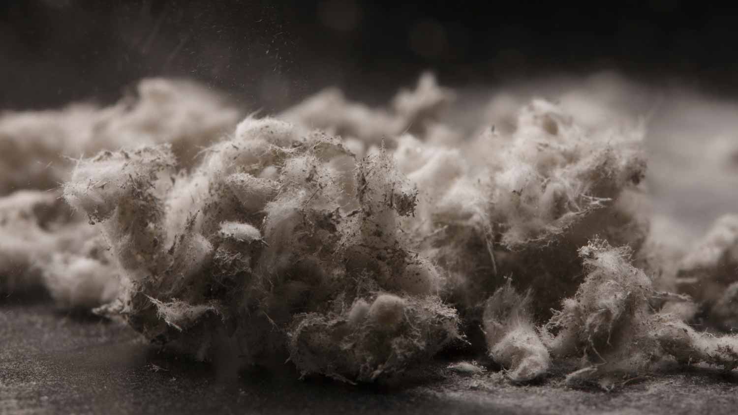 Close up of asbestos