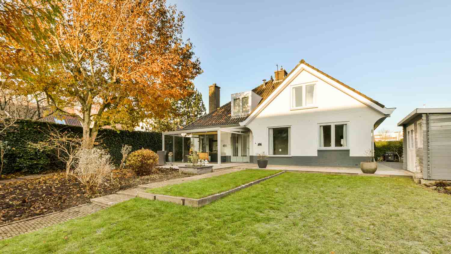 backyard lawn in the autumn