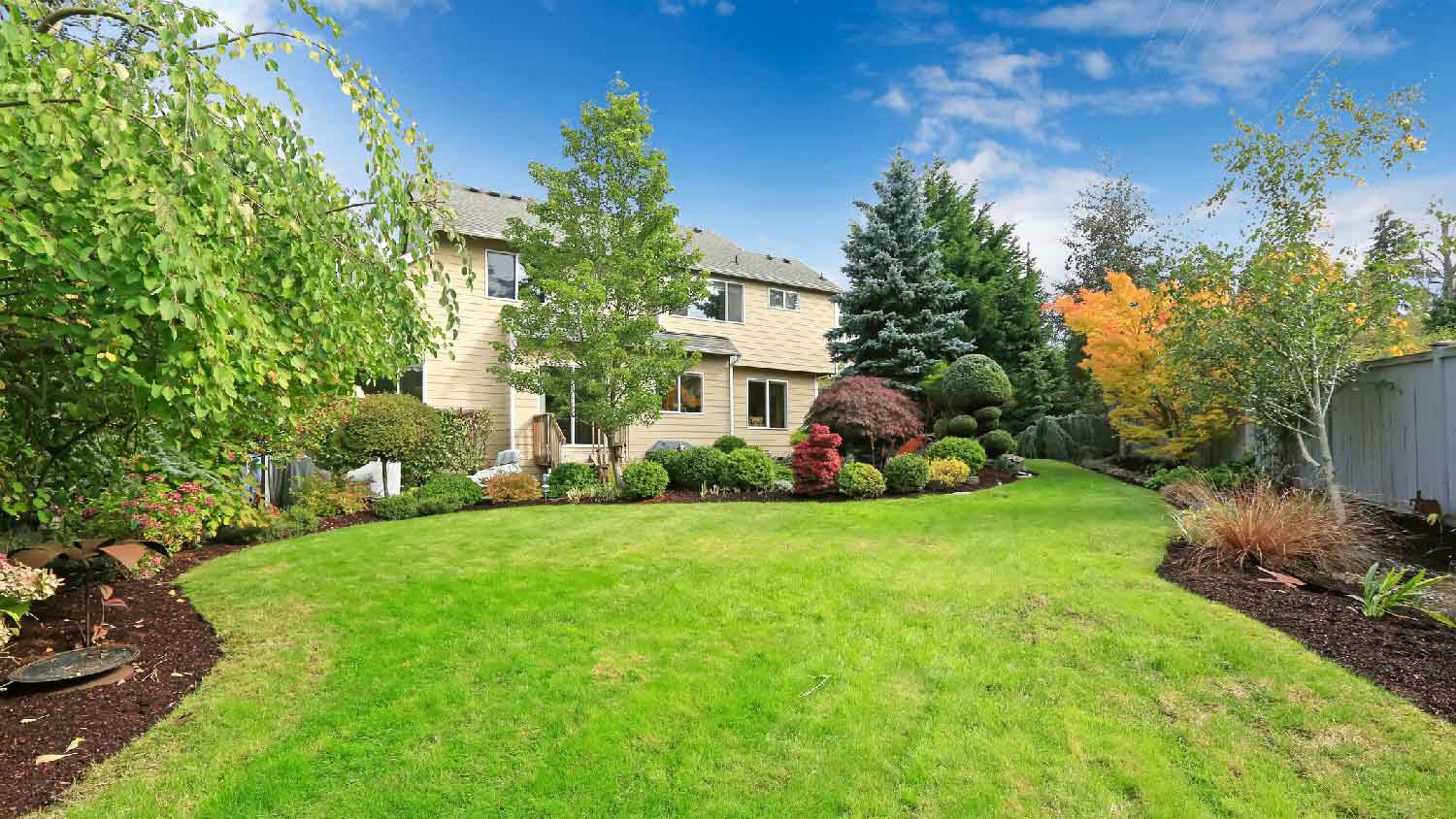 A big backyard with lawn and shrubs