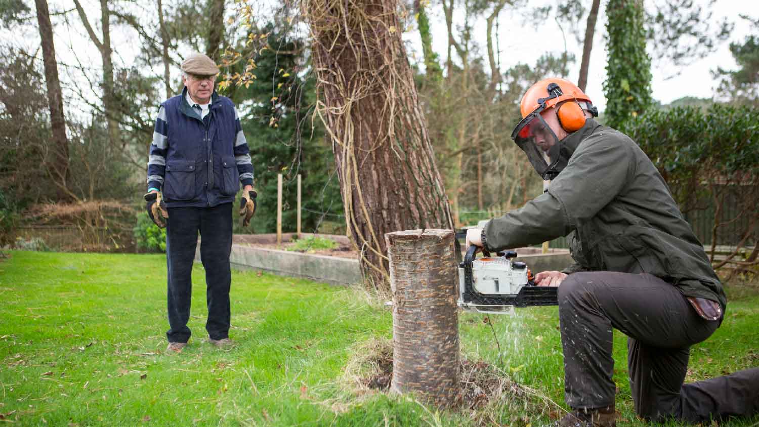 A person cutting a tree while a man is watching