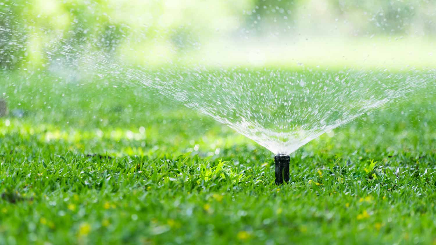 Automatic garden lawn sprinkler
