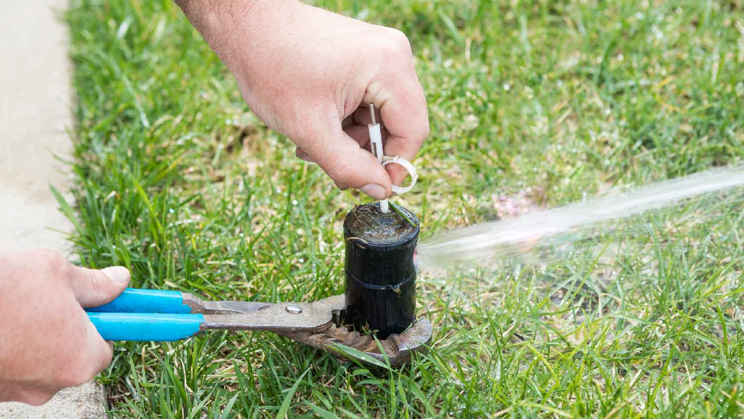 A man cleaning a sprinkler head