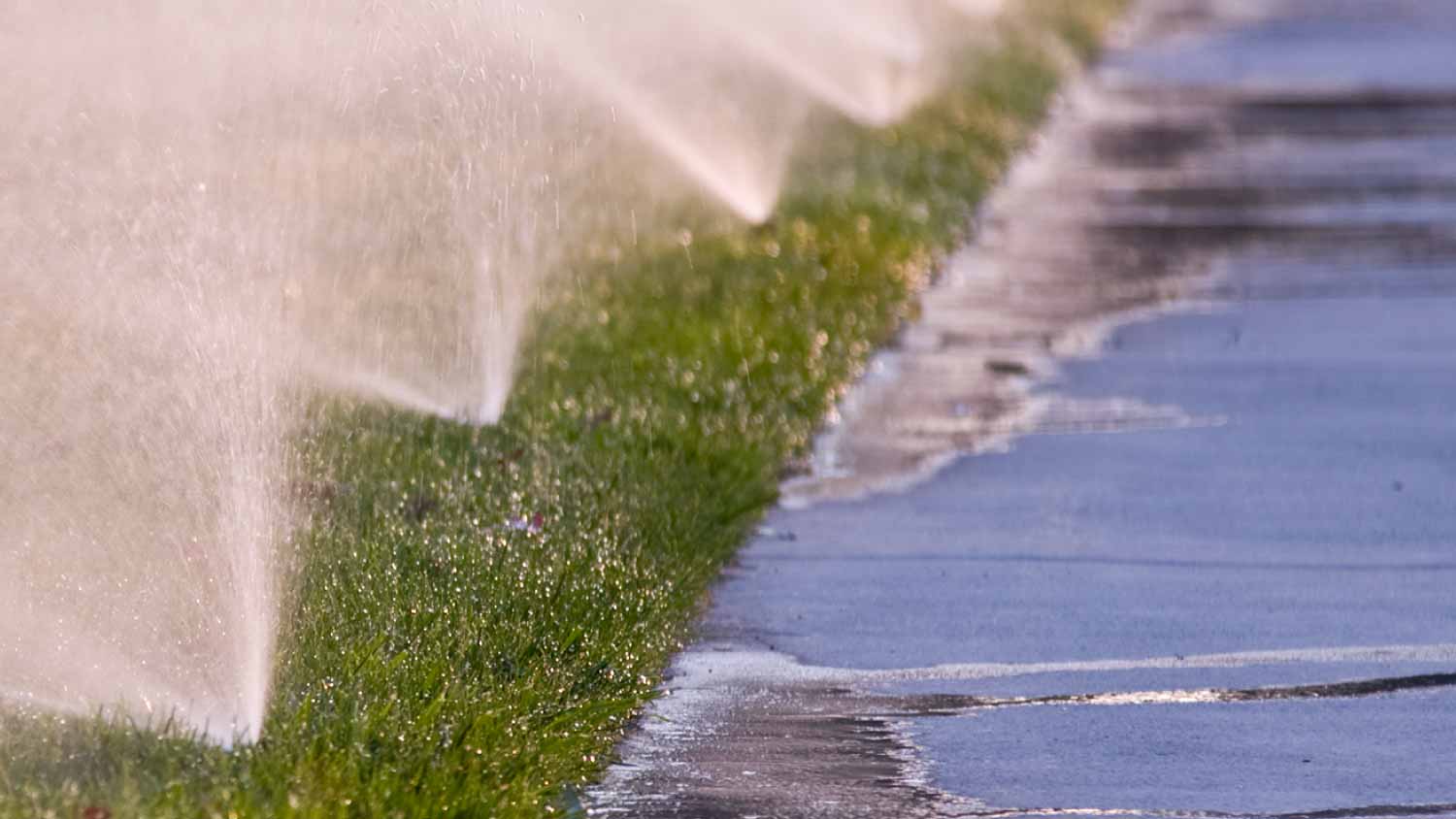 Irrigator wasting water while watering the grass