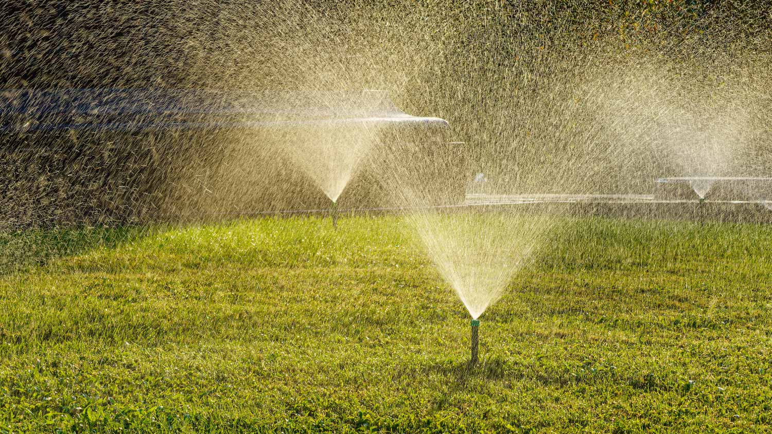 Automatic lawn watering system