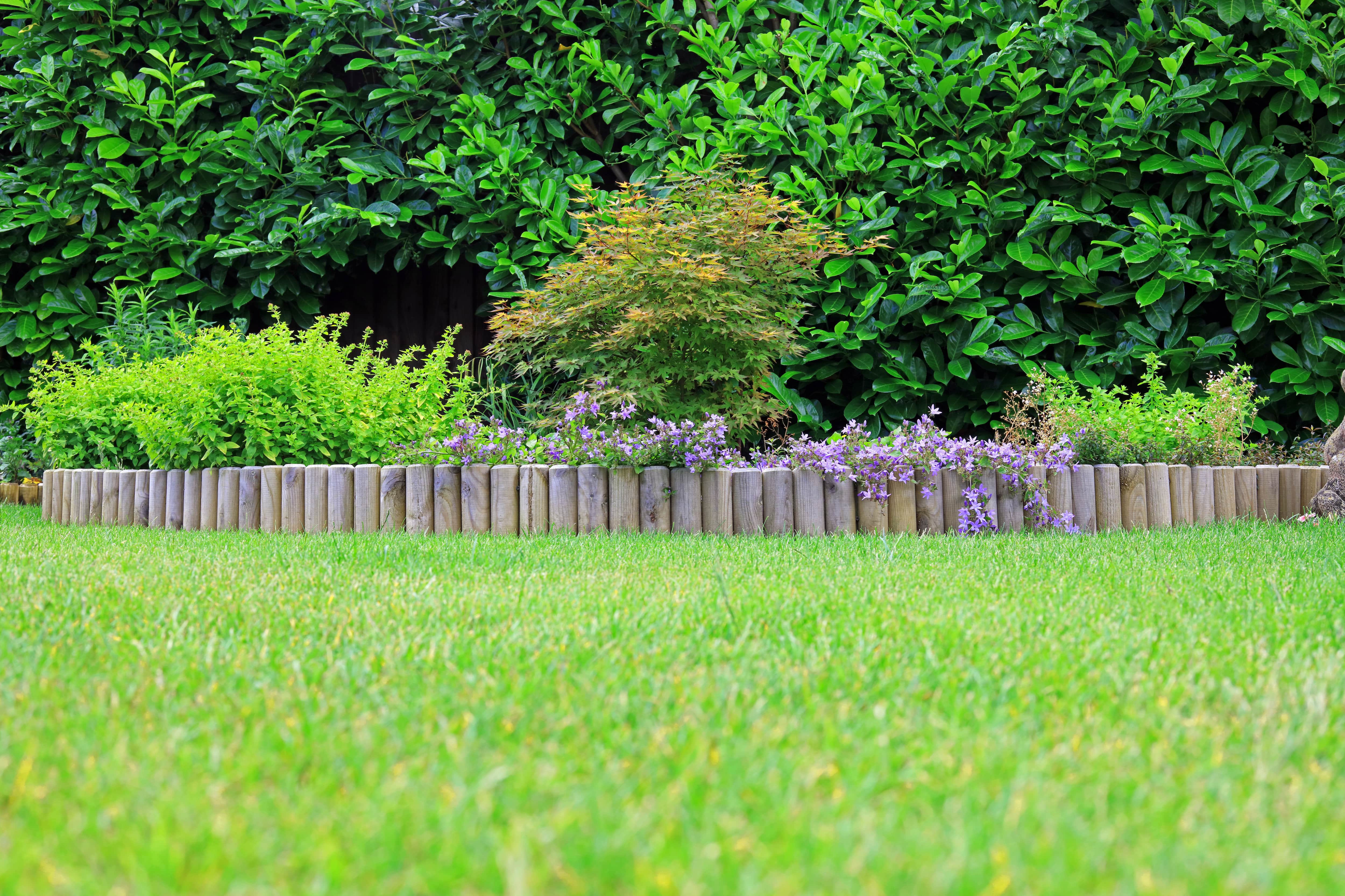 Log edging border in garden