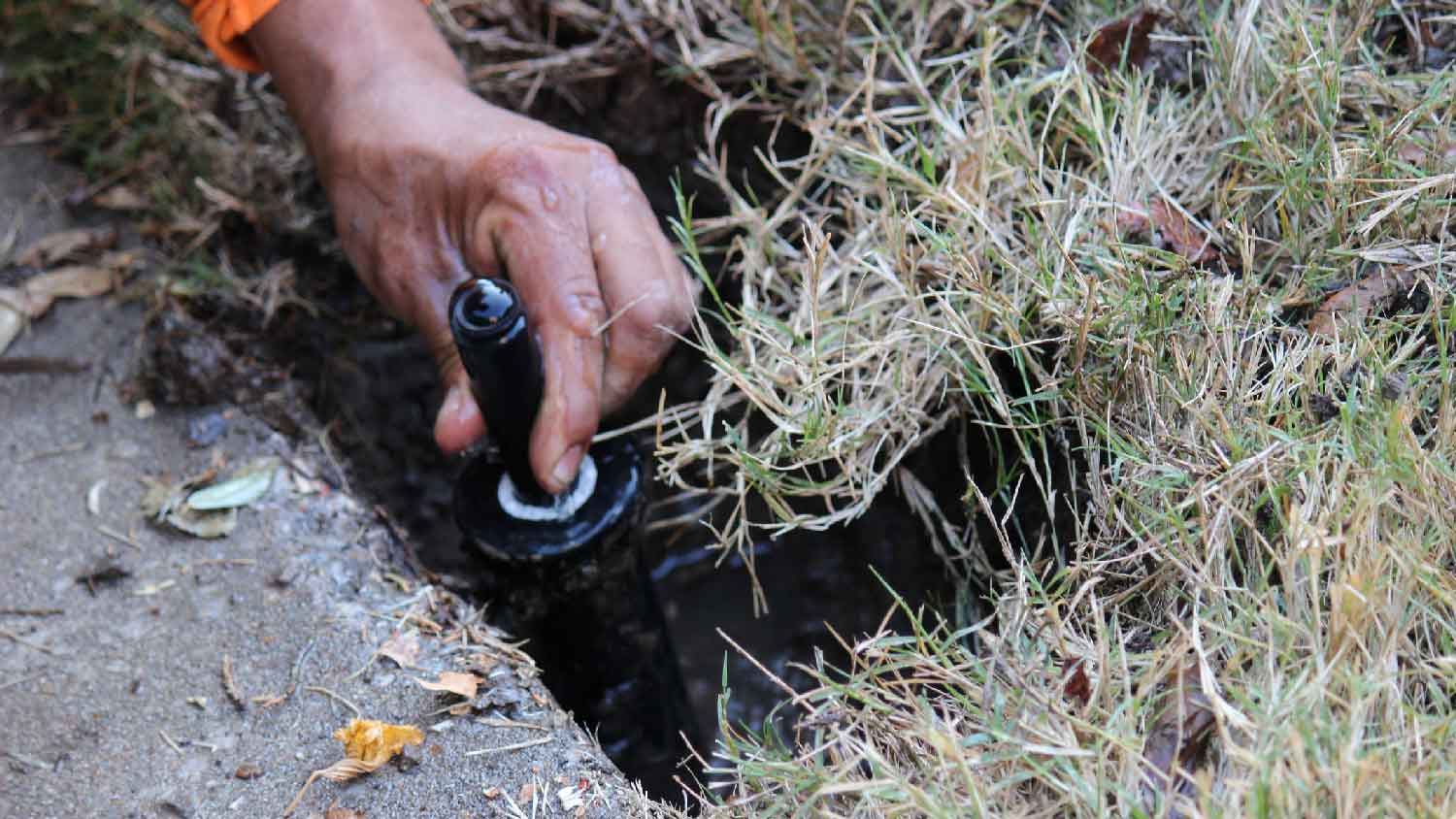 Close-up of a man installing a sprinkler