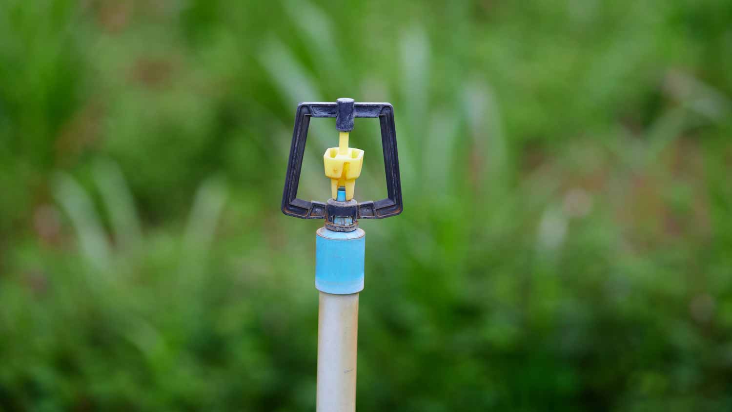 Close up of an automatic sprinkler system