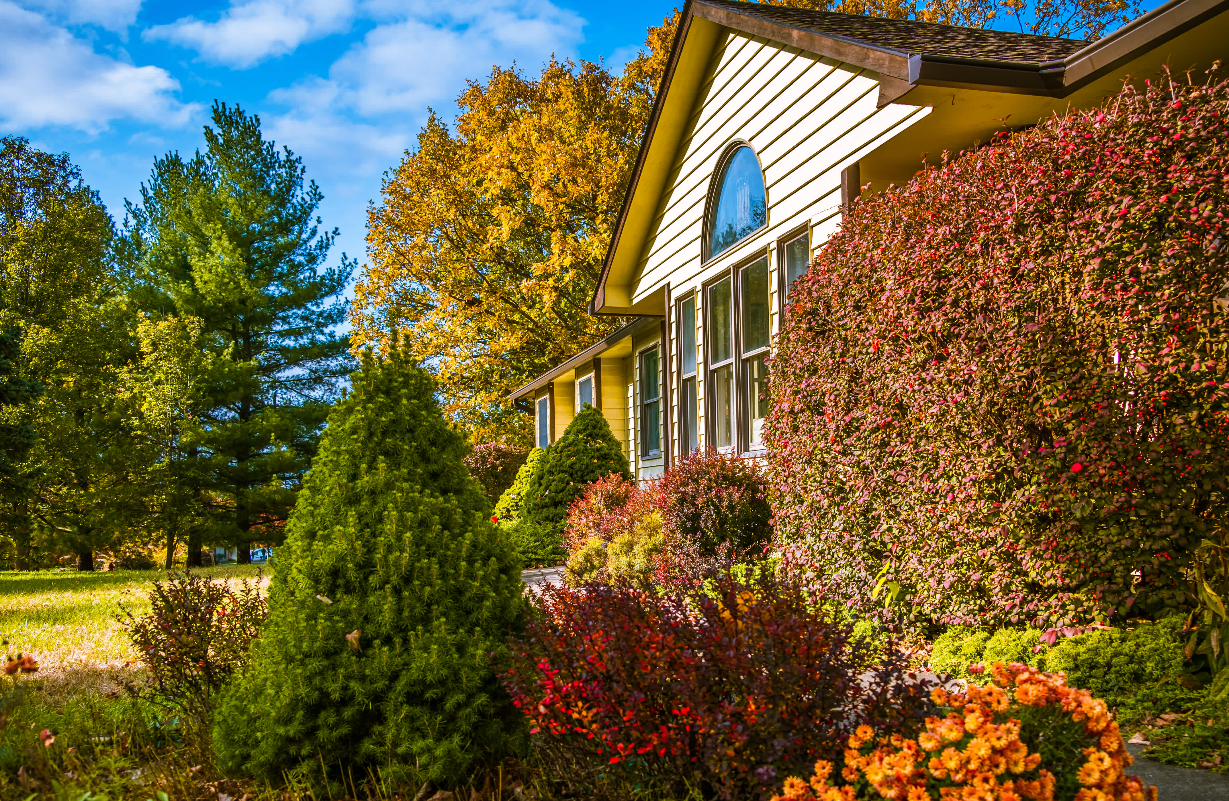 A house with plants and shrubs in its front yard in autumn