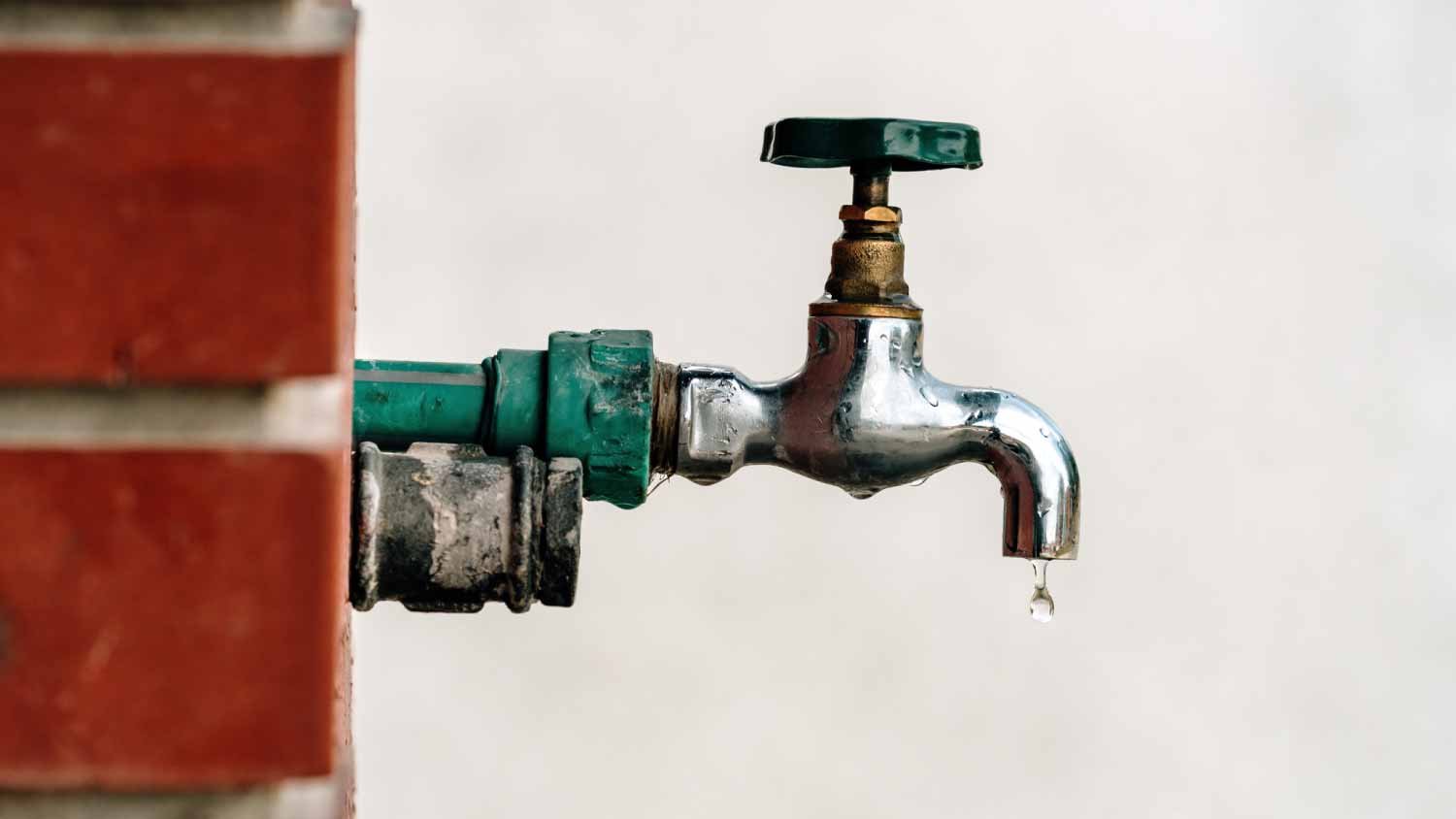Standard hose bib