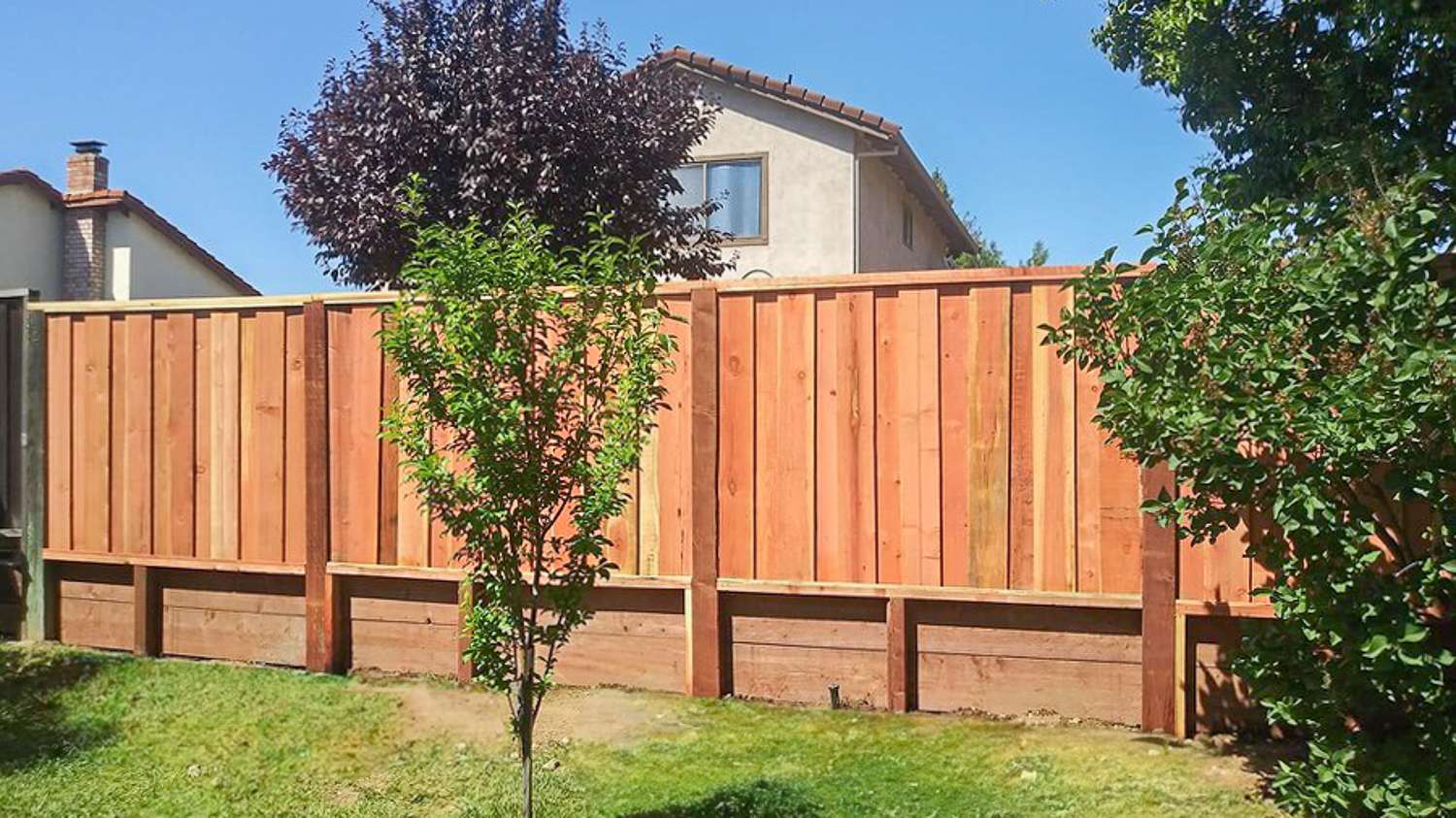 Backyard with new wooden fence