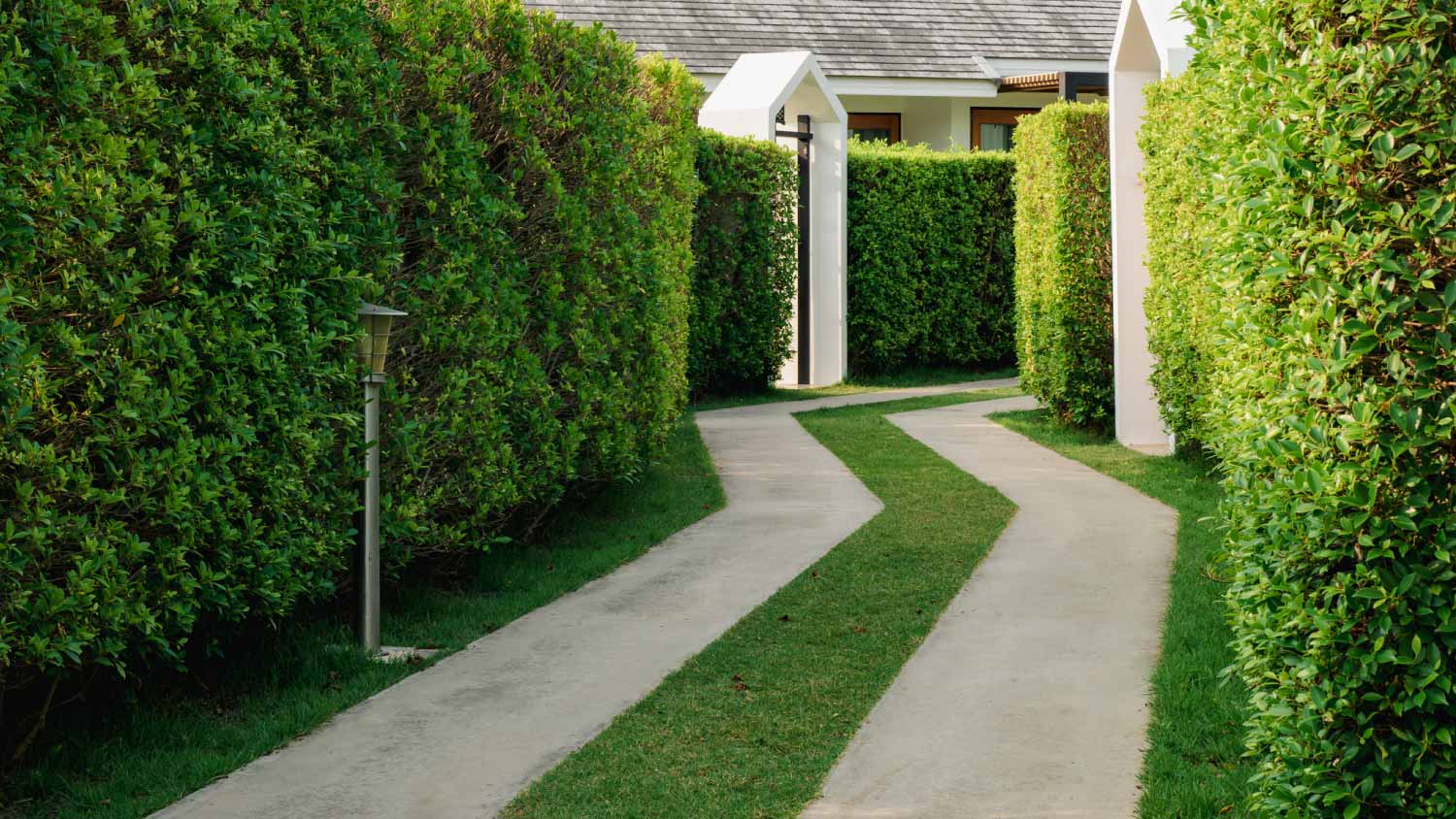 Concrete and grassy walkway