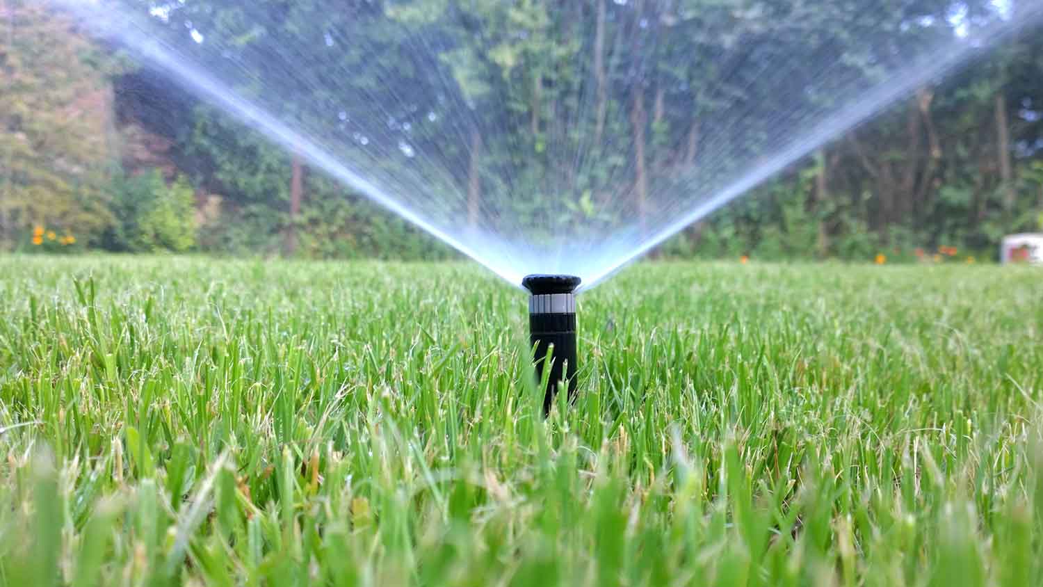 Automatic spray irrigation system in the yard