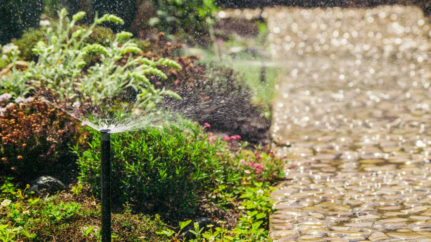 Garden water system