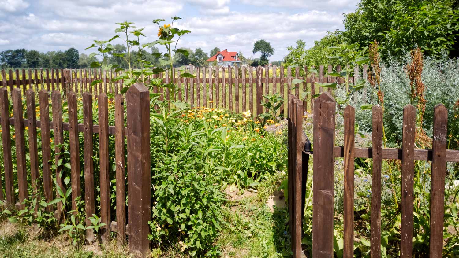 Gate to a flower garden