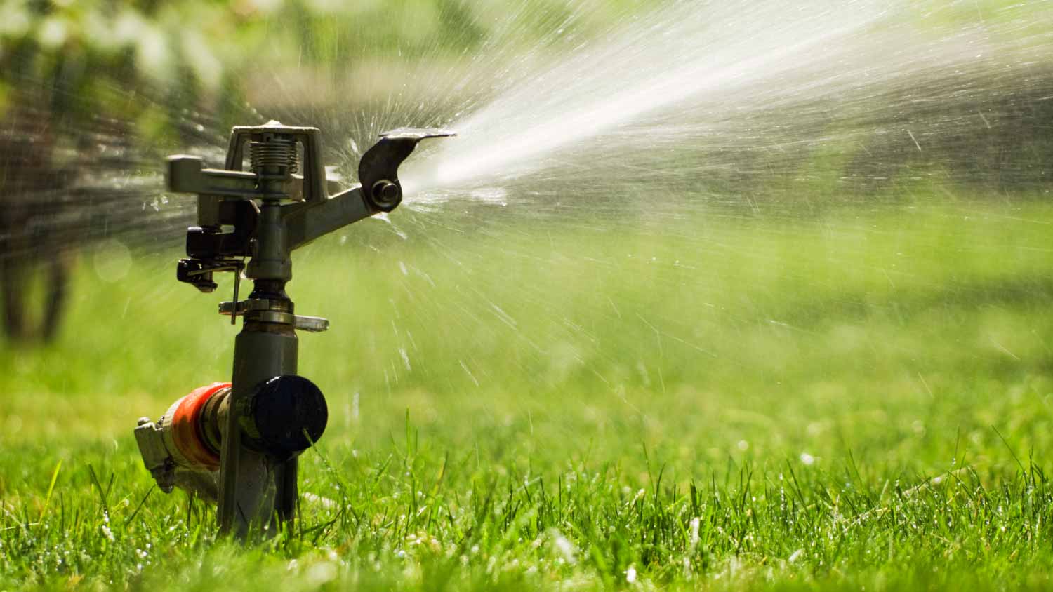 Sprinkler watering grass lawn