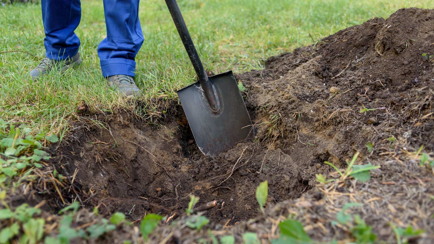 Man digging hole with shovel