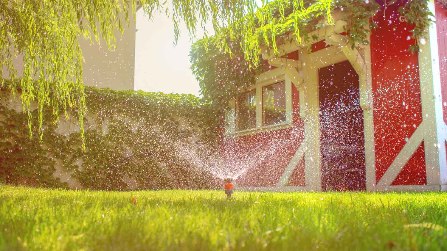 A sprinkler watering lawn on a sunny day
