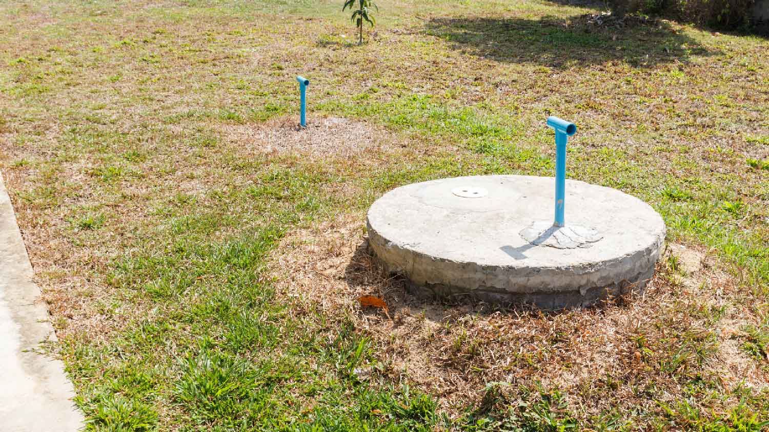 A cement cesspool in a yard