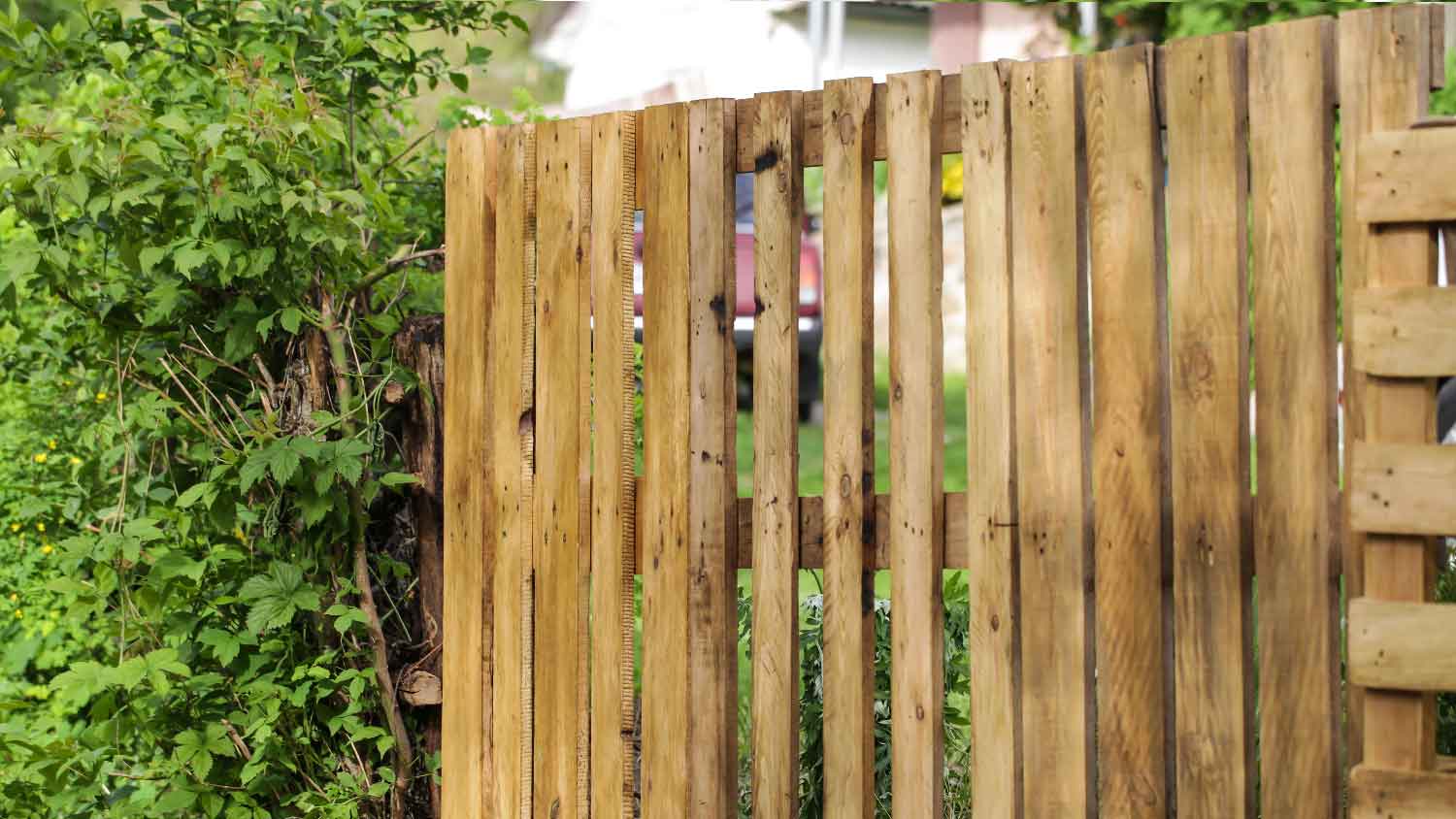 Wooden pallets used as a fence