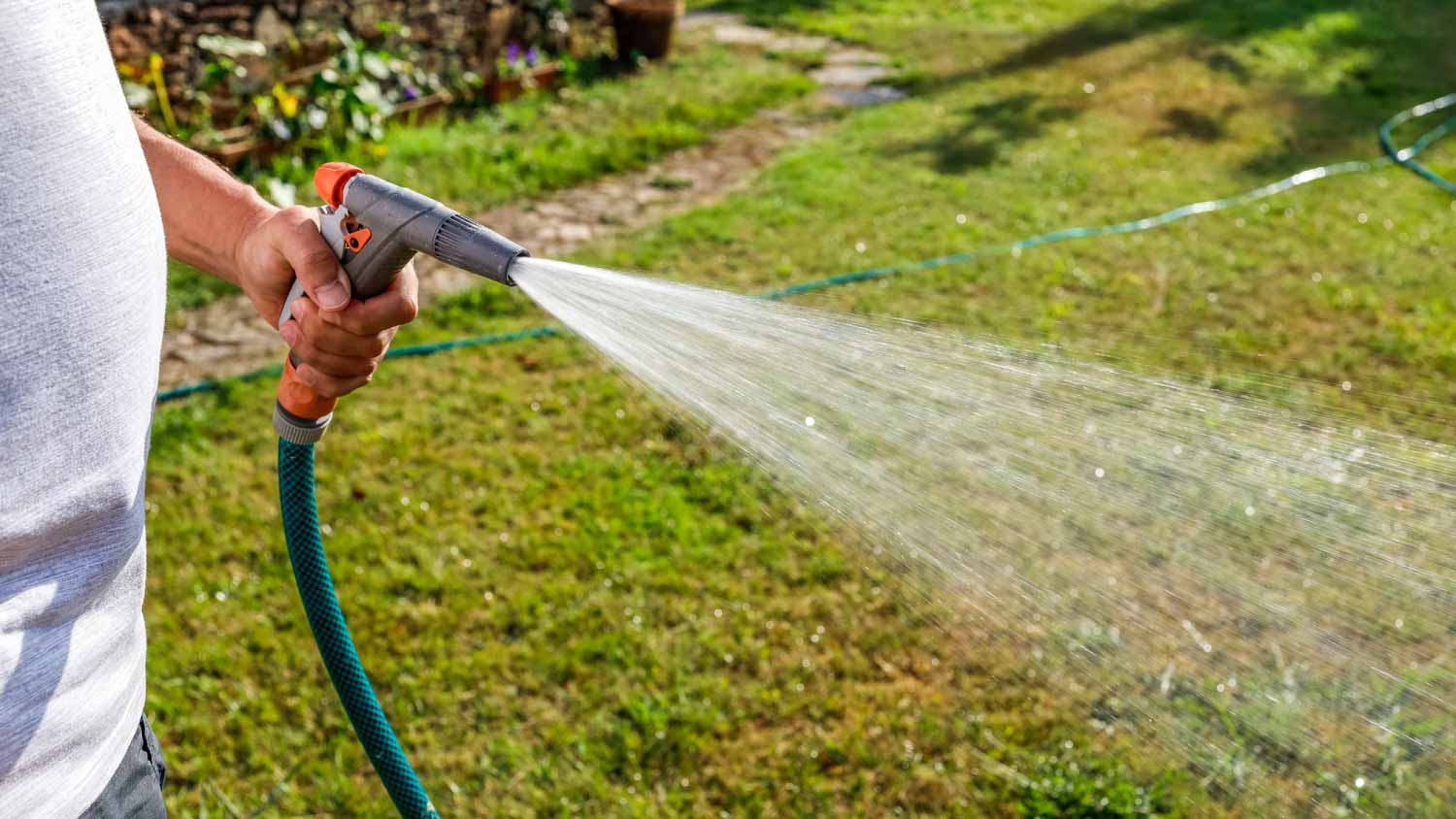 Man irrigating a lawn