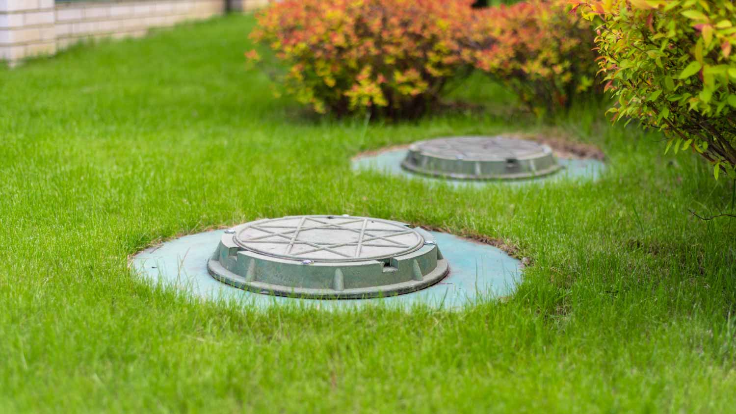 Cesspool on the backyard green law