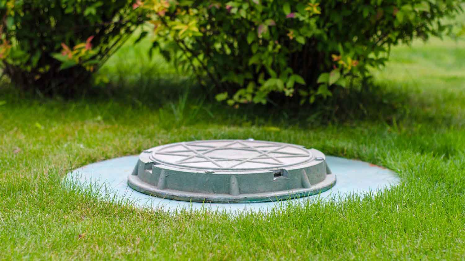 Close-up of a cesspool on lawn