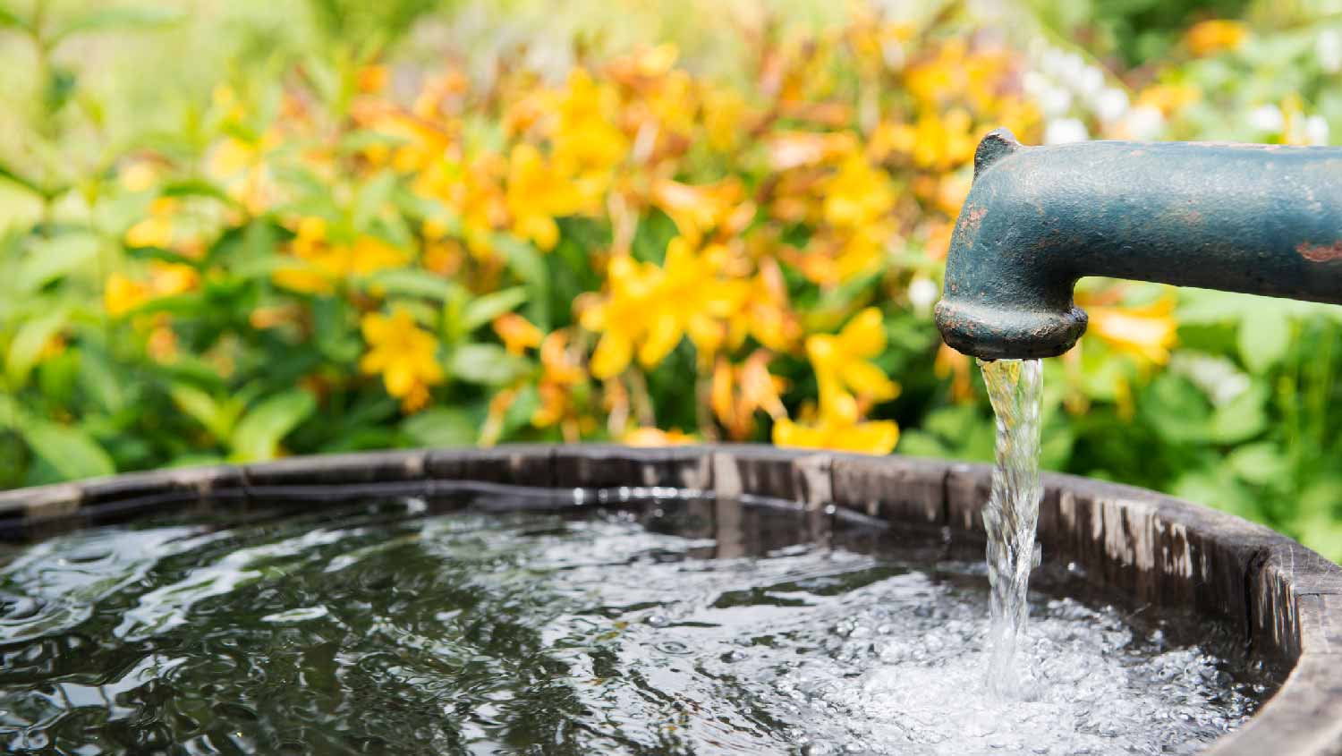 A well pump in a garden