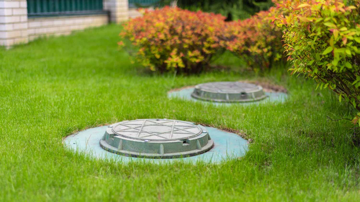 A cesspool in the backyard of a house