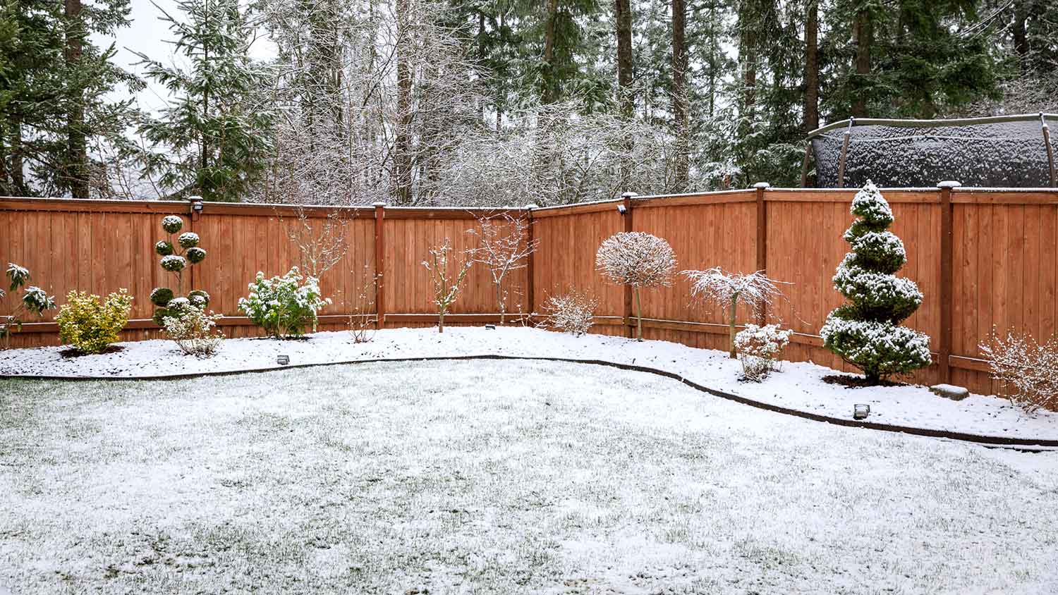 House backyard covered with a few inches of snow