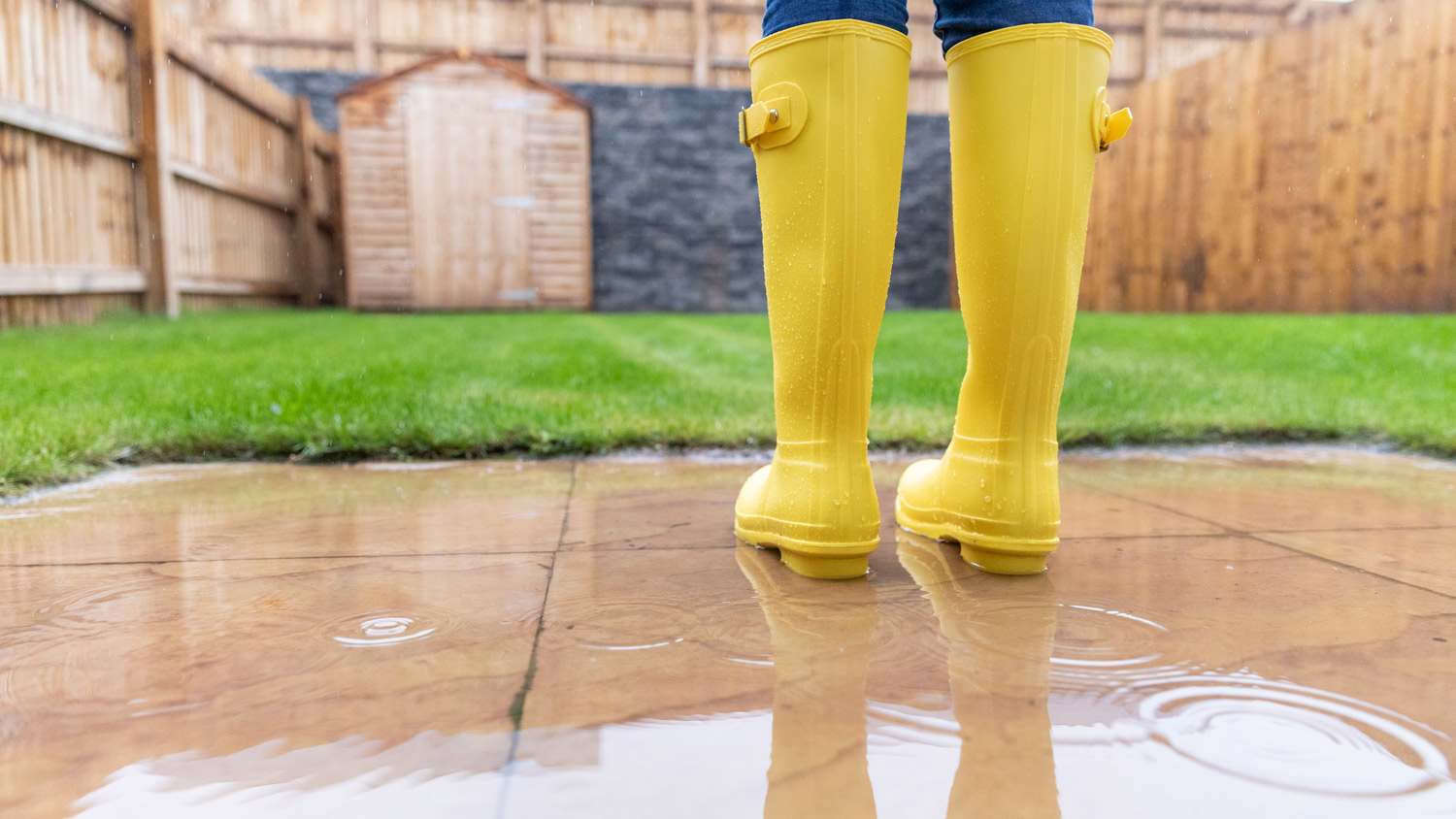 Close-up of woman standing in backyard during rainy season