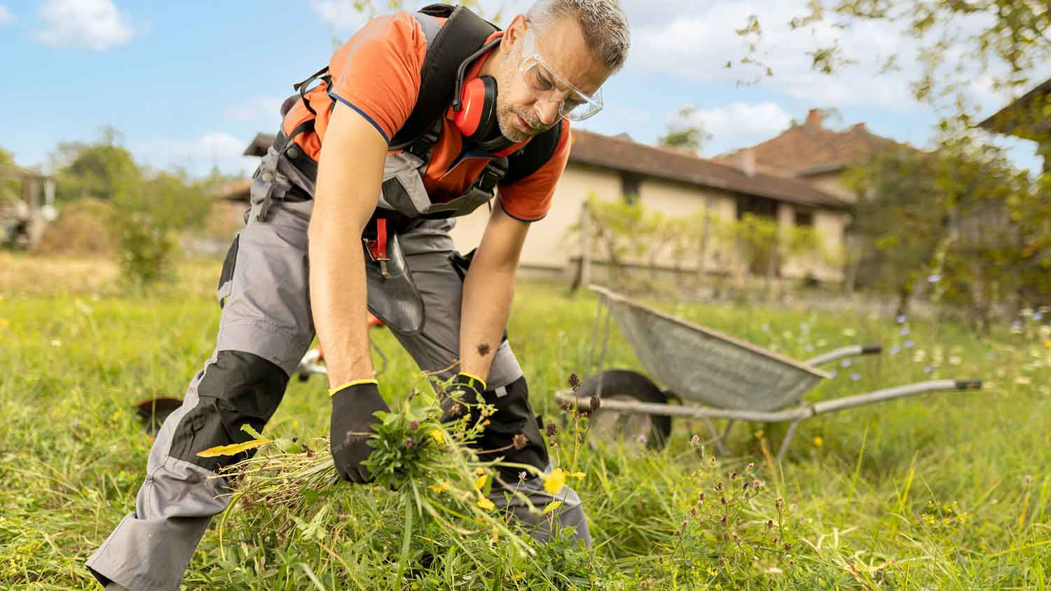Professional gardener pulling weeds in the yard