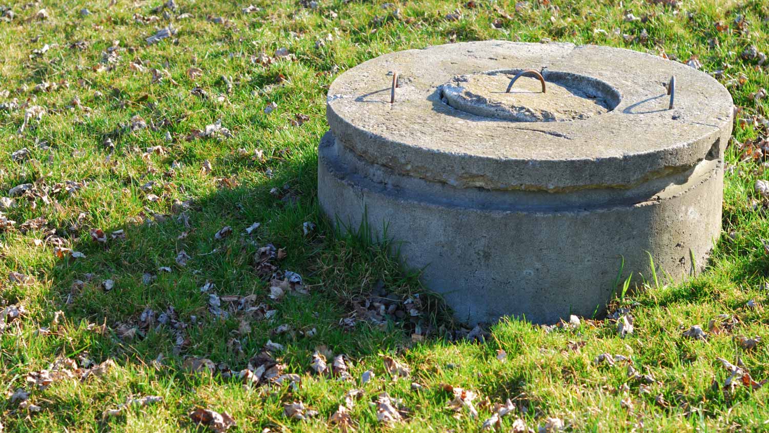 Concrete Well in garden