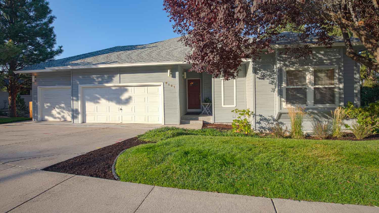 A single family house with front lawn and a large tree