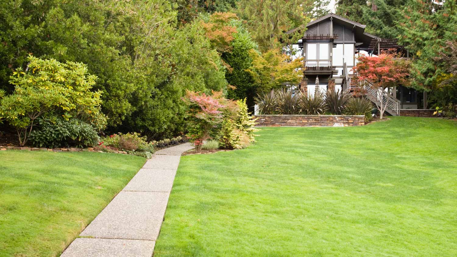 House with a large backyard