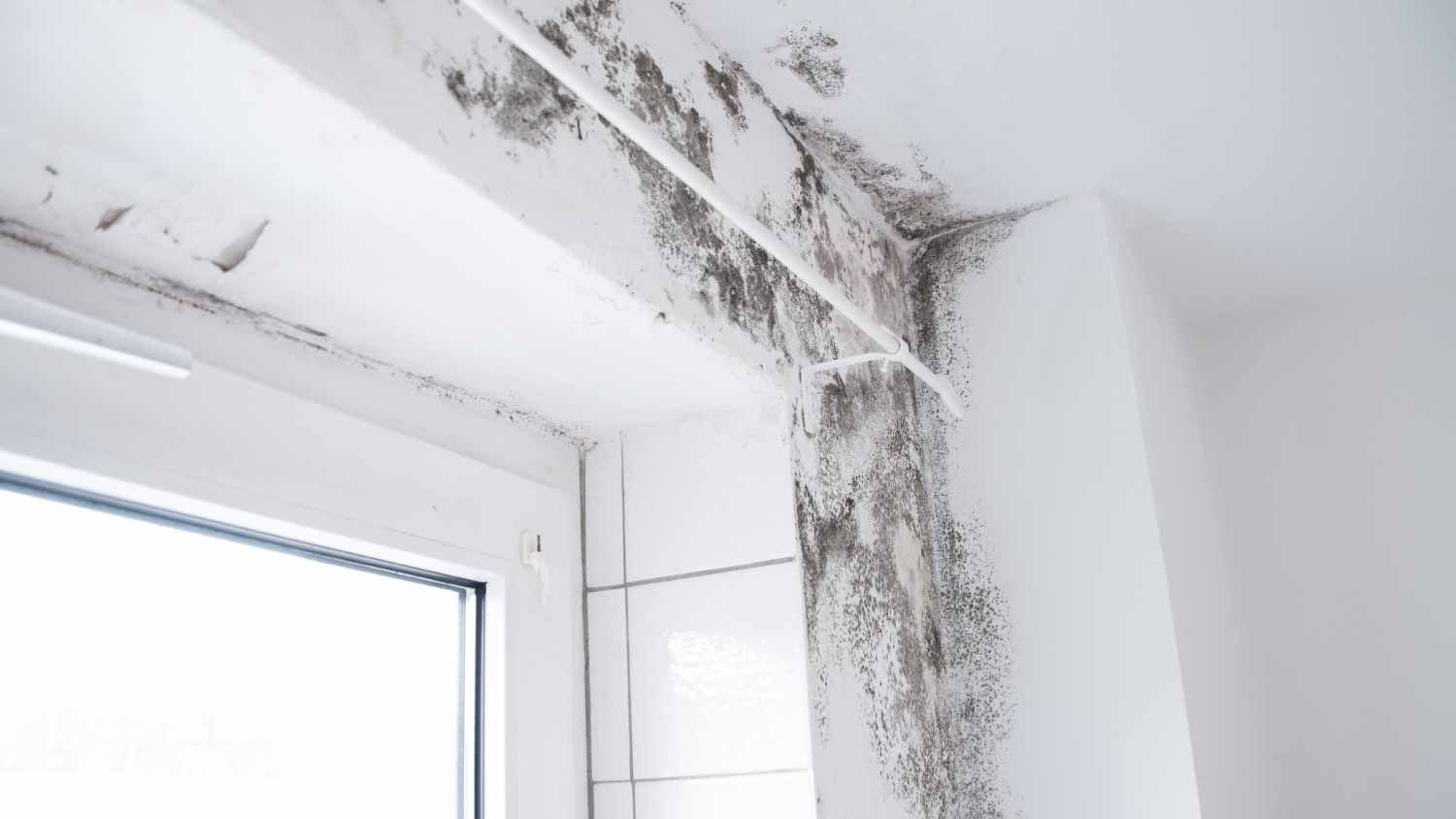 Water damage in bathroom
