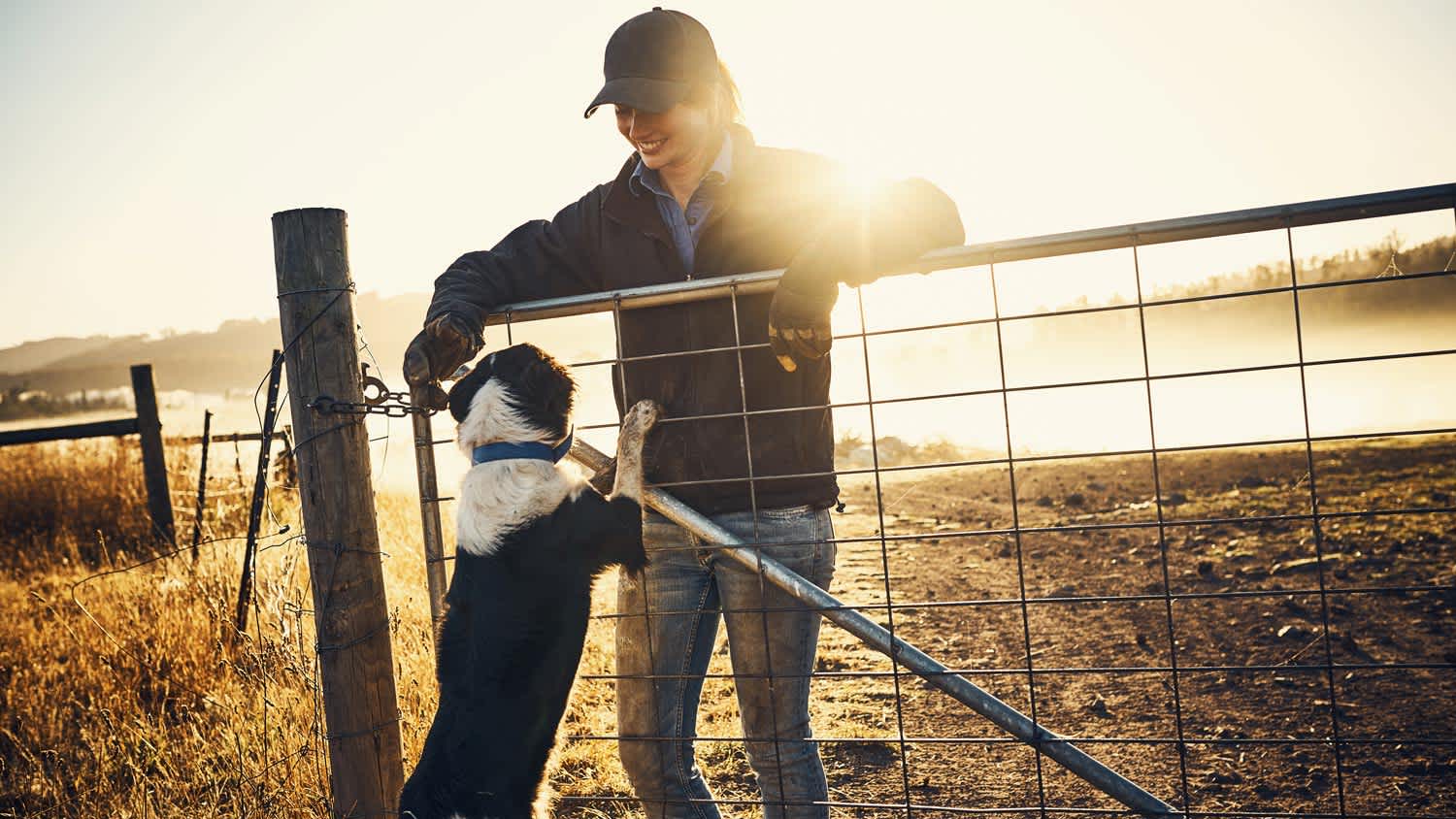 Woman playing with her dog near farm fence