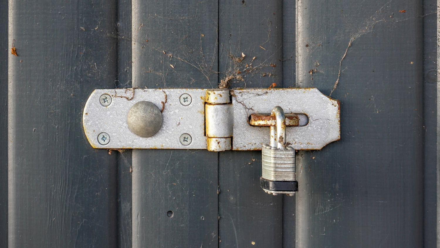text:Old padlock, parts covered with rust, on gray wood fence