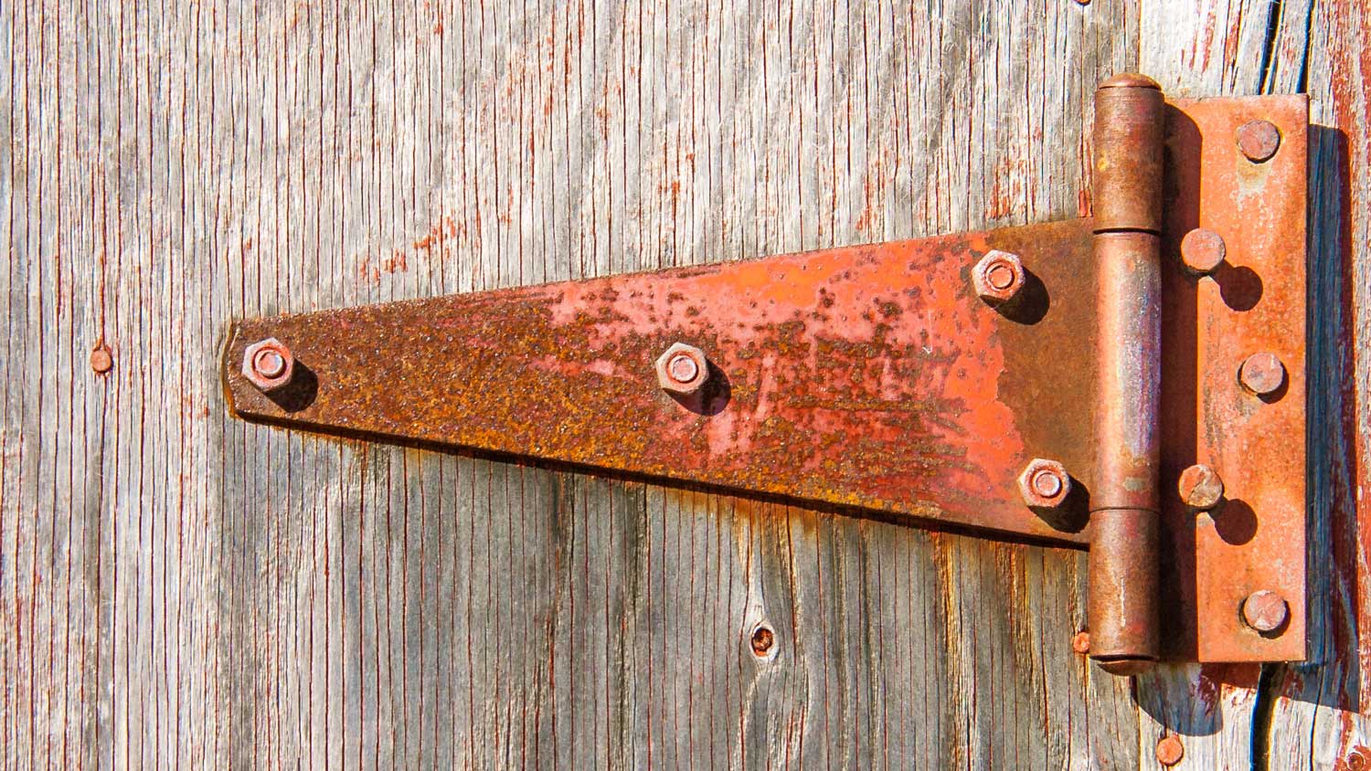 rusted tee hinge on a barn