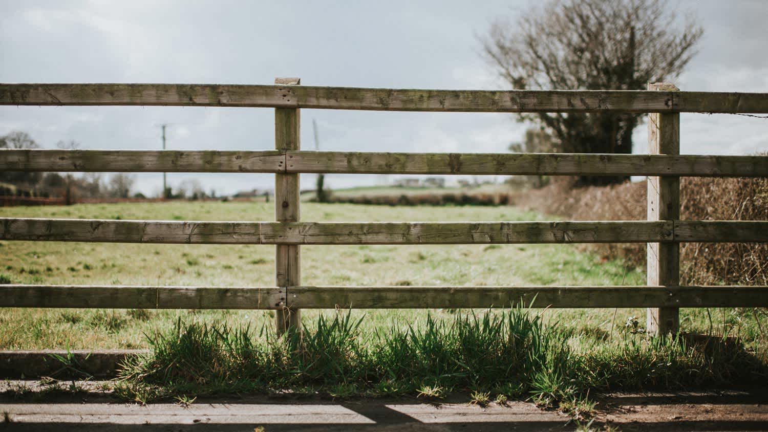 Wooden fence on open land
