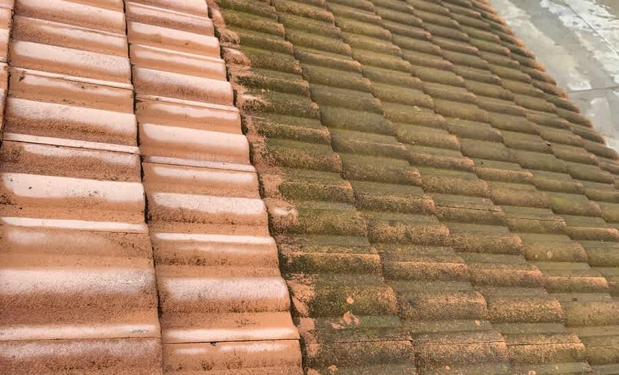 Tile roof with algae on it